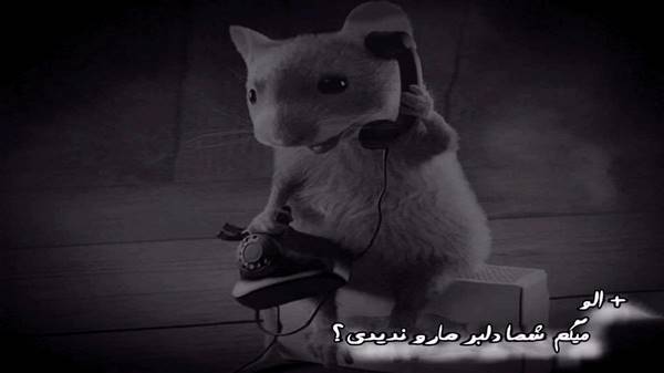  رویا همون رویا بود شبا همون شبها بود صدای زن